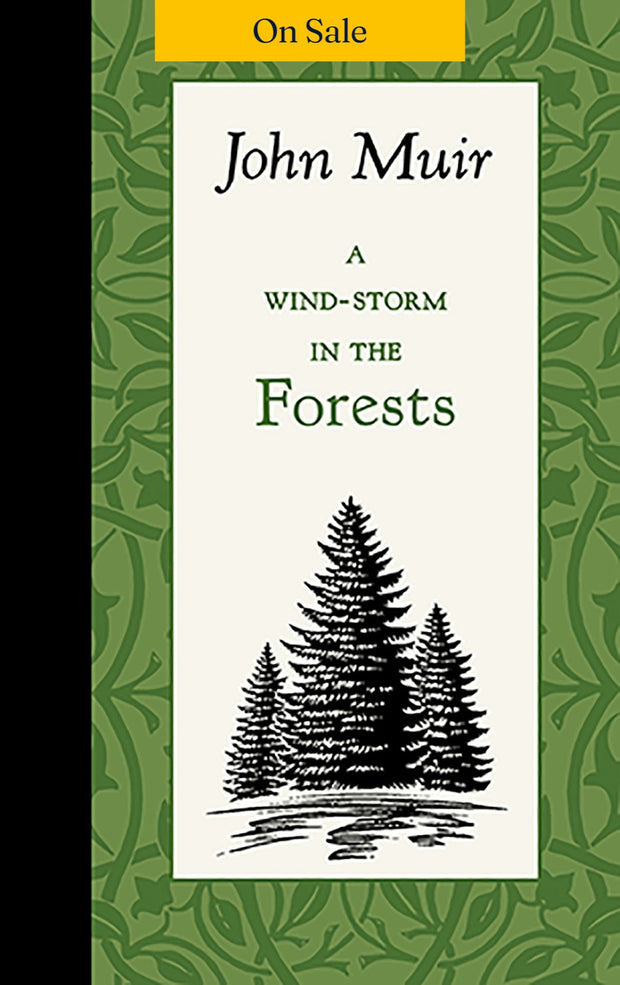 A Wind-Storm in the Forests