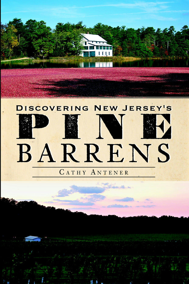 Discovering New Jersey's Pine Barrens