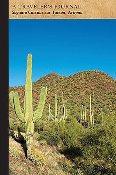 Saguaro Cactus Near Tucson, Arizona: A Traveler's Journal
