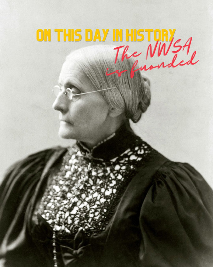On This Day in 1869: The National Woman Suffrage Association Is Founded in New York
