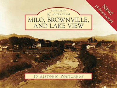 Cover image for Milo, Brownville, and Lake View, isbn: 9780738564586