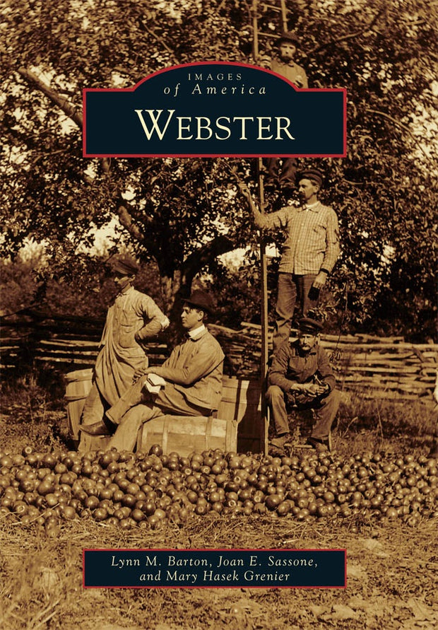 Cover image for Webster, isbn: 9780738572543