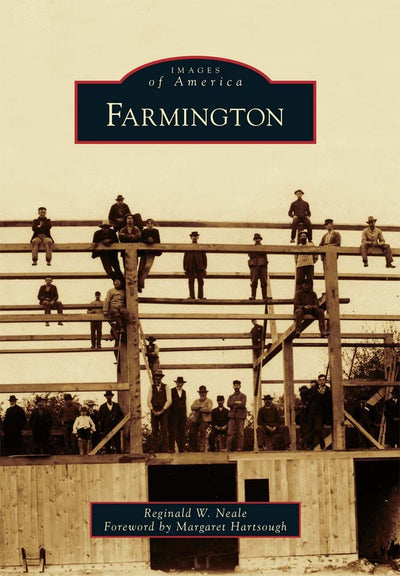 Cover image for Farmington, isbn: 9780738573564