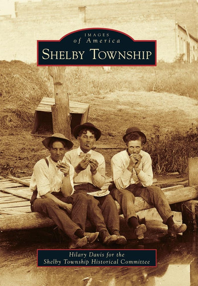 Cover image for Shelby Township, isbn: 9780738584287