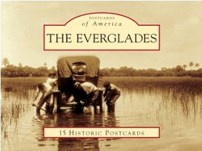 Cover image for The Everglades, isbn: 9780738591469
