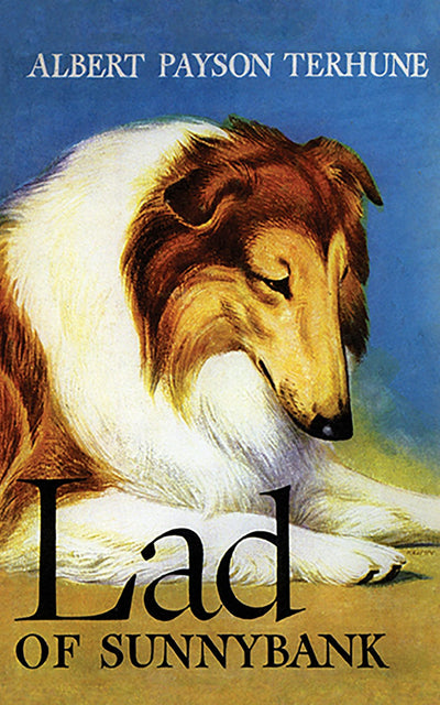 Cover image for Lad of Sunnybank, isbn: 9781429093170