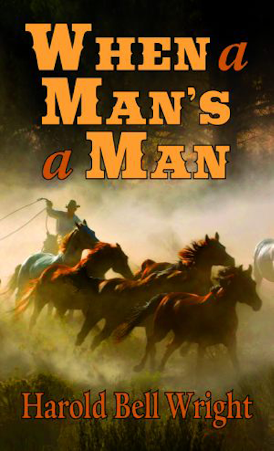 Cover image for When a Man's a Man, isbn: 9781455616213