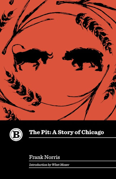 Cover image for The Pit, isbn: 9781455629060