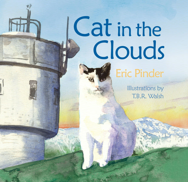 Cover image for Cat in the Clouds, isbn: 9781467138482