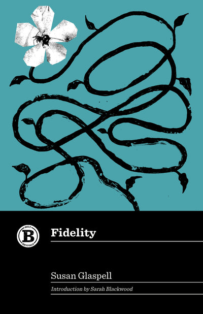 Cover image for Fidelity, isbn: 9781540270153