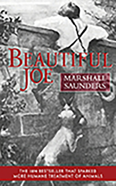 Cover image for Beautiful Joe (Paperback), isbn: 9781557093073
