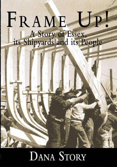 Cover image for Frame Up!, isbn: 9781596290198