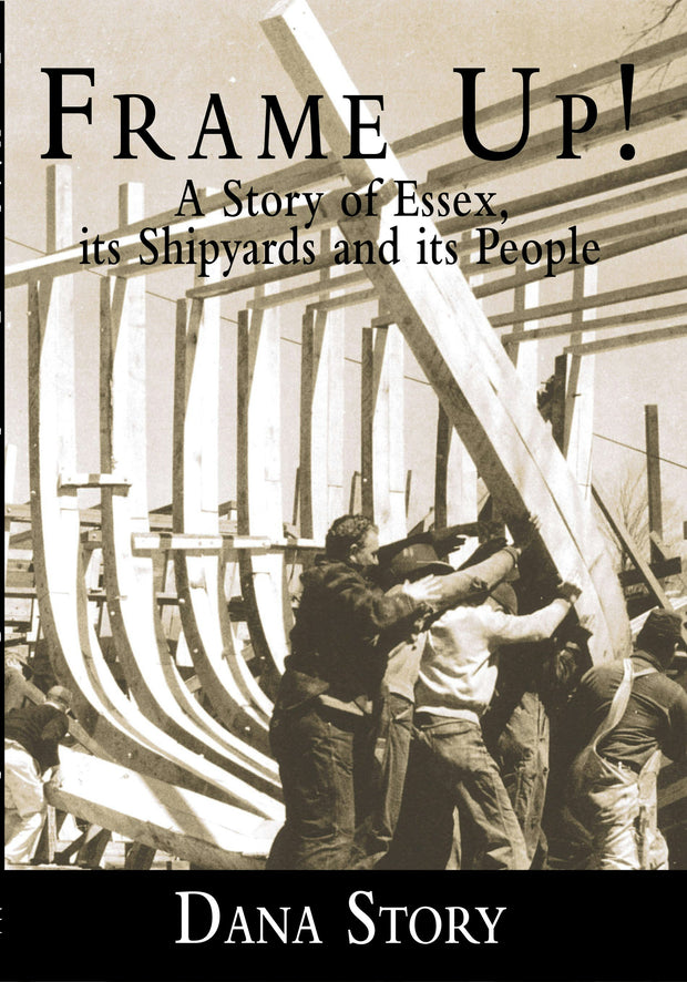 Cover image for Frame Up!, isbn: 9781596290198