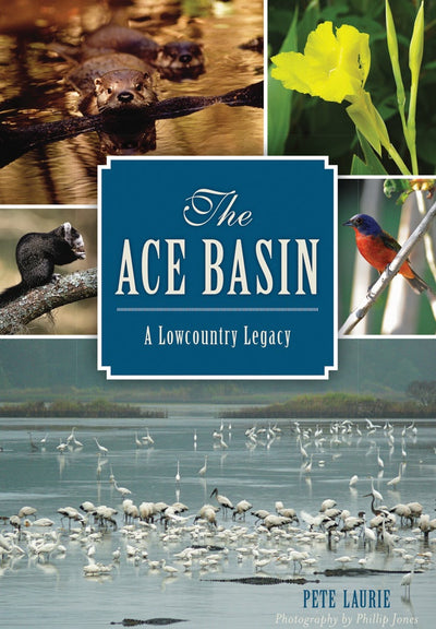 The ACE Basin: A Lowcountry Legacy